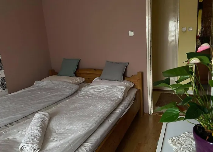 Csalogany Vendeghaz *